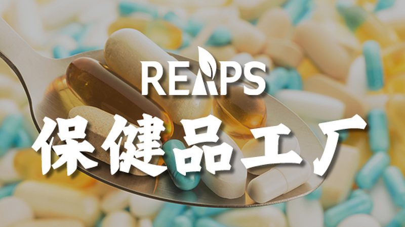 老年人蛋白粉与奶粉：成分差异与适用人群解析