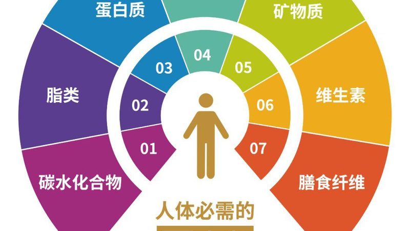 运动营养补充剂批发多少钱